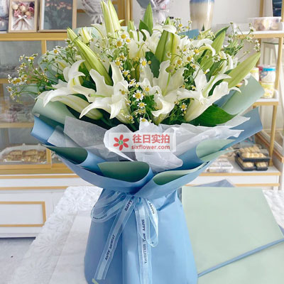郴州8支白色多头百合洋甘菊,互倾的思念