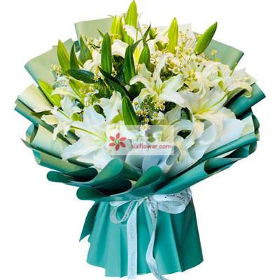 郴州8支白色多头百合洋甘菊，如潮的思念